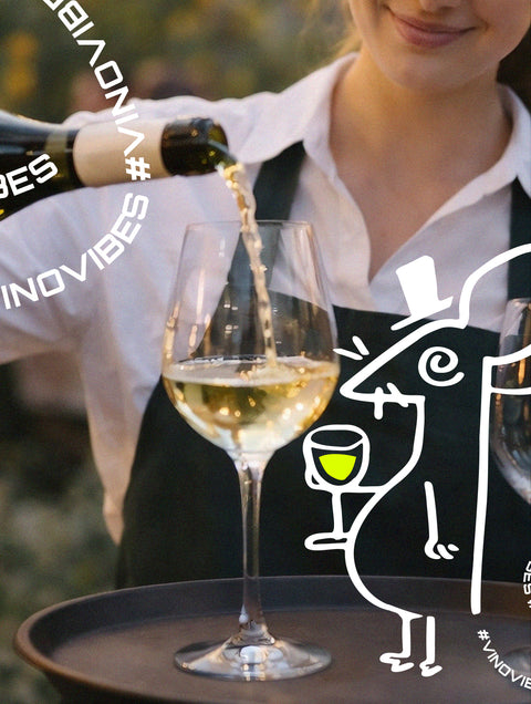 DAY-PASS / VinoVibes